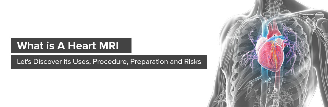 What is a Heart MRI? Let's Discover Its Uses, Procedure, Preparation and Risks